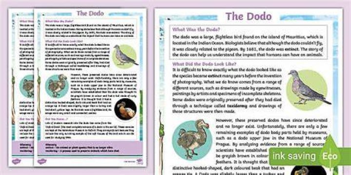 Why dodo became extinct?