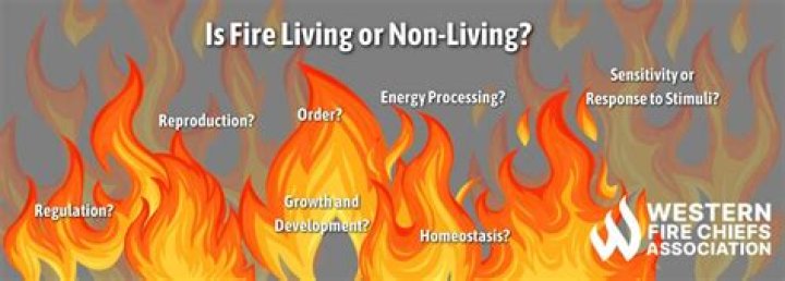 Why is fire not living?
