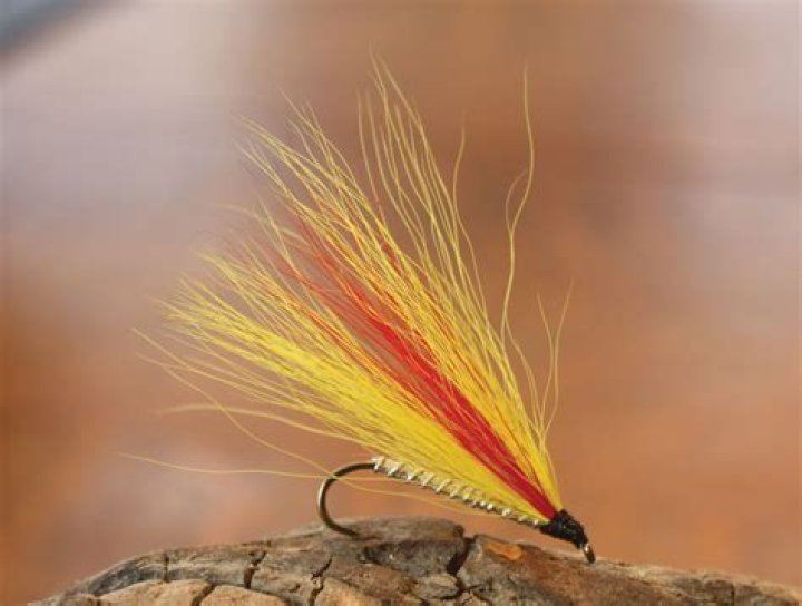 Why is it called a Mickey Finn?