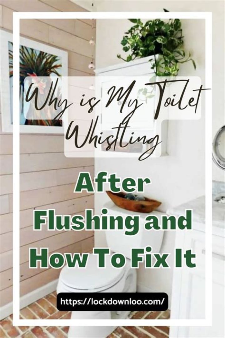 Why toilet whistles when flushed?