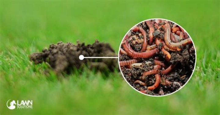 Will earthworms hurt my garden?